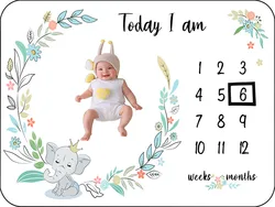 Custom Printing Minky Throw Fleece Blanket Baby Monthly Photography Blanket Baby Milestone Blanket