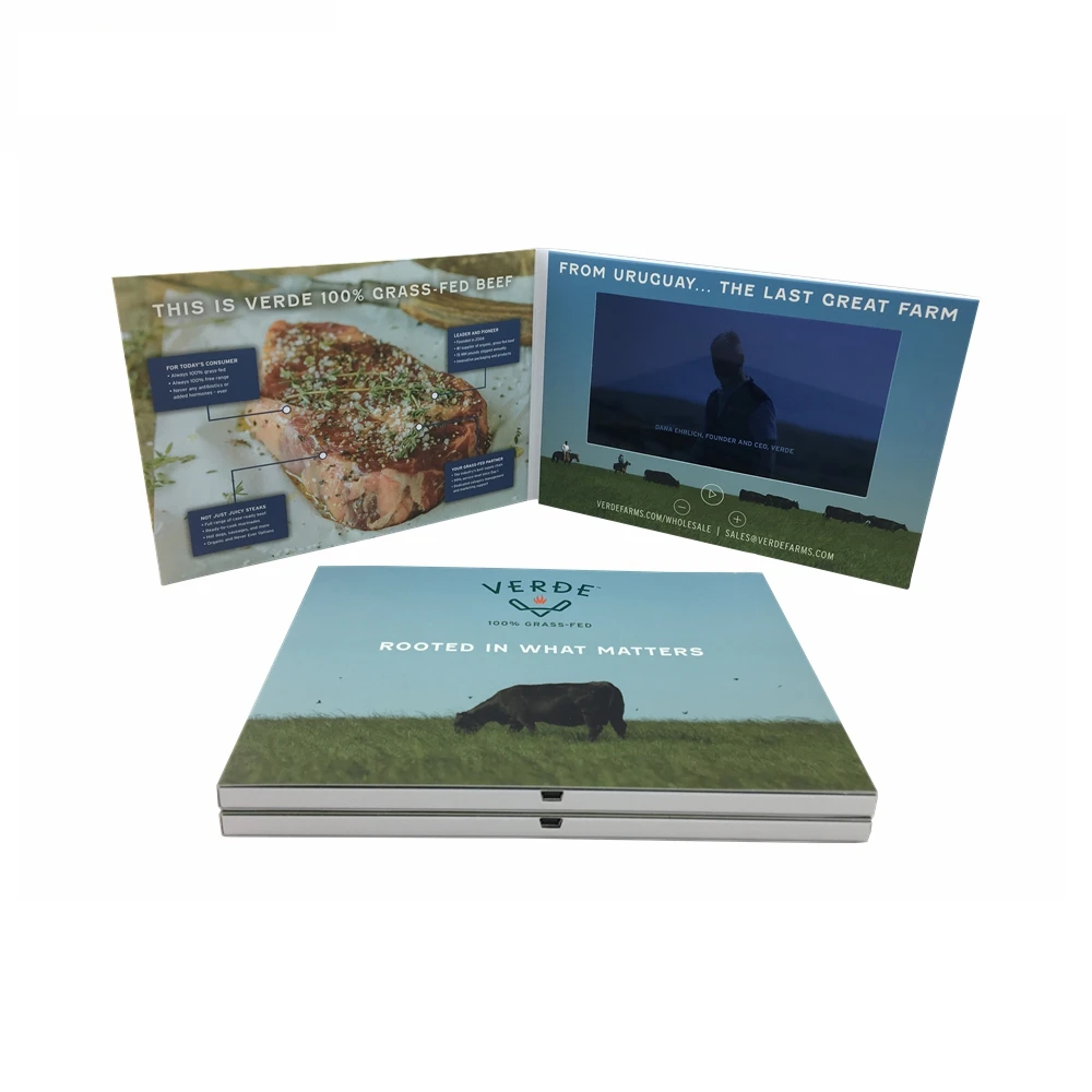 IPS Screen 7 Inch 2G Memory A5 A4 Size Digital Module LCD Video Brochure Card Digital Catalog Advertising Card