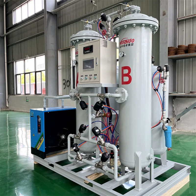 NUZHUO Chinese Factory Manufacture Nitrogen Gas Generating Plant Competitive Price N2 Making Device