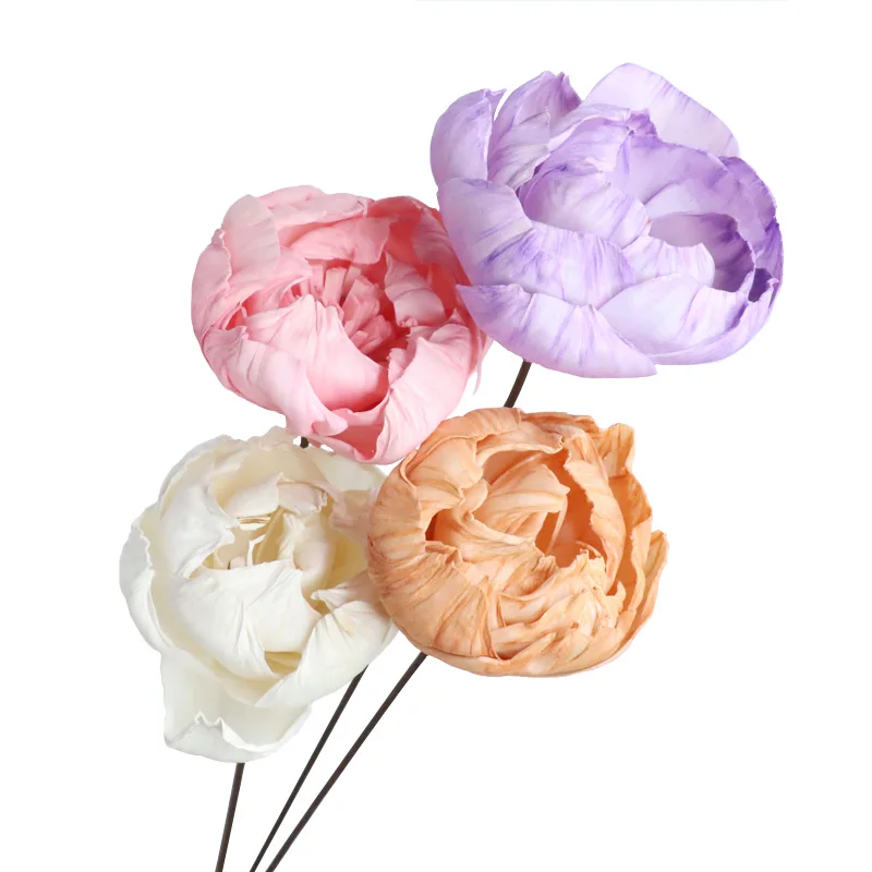 Лидер продаж, цветной сушеный цветок Солы, сохраненный пион по индивидуальному заказу, оптовая продажа, новый дизайн, идеально подходит для Дня Святого Валентина