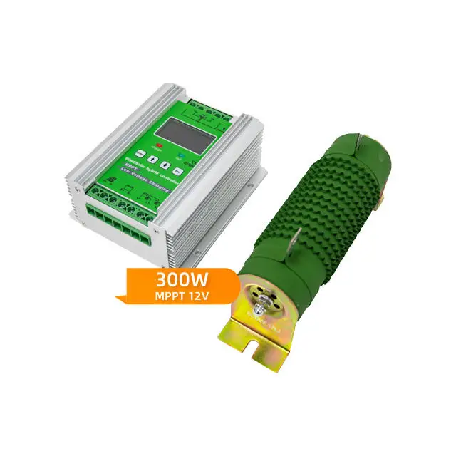 Cost-Effective 12v 25a Hybrid Wind Solar Charging Regulator 300w Wind Turbine Solar Controller