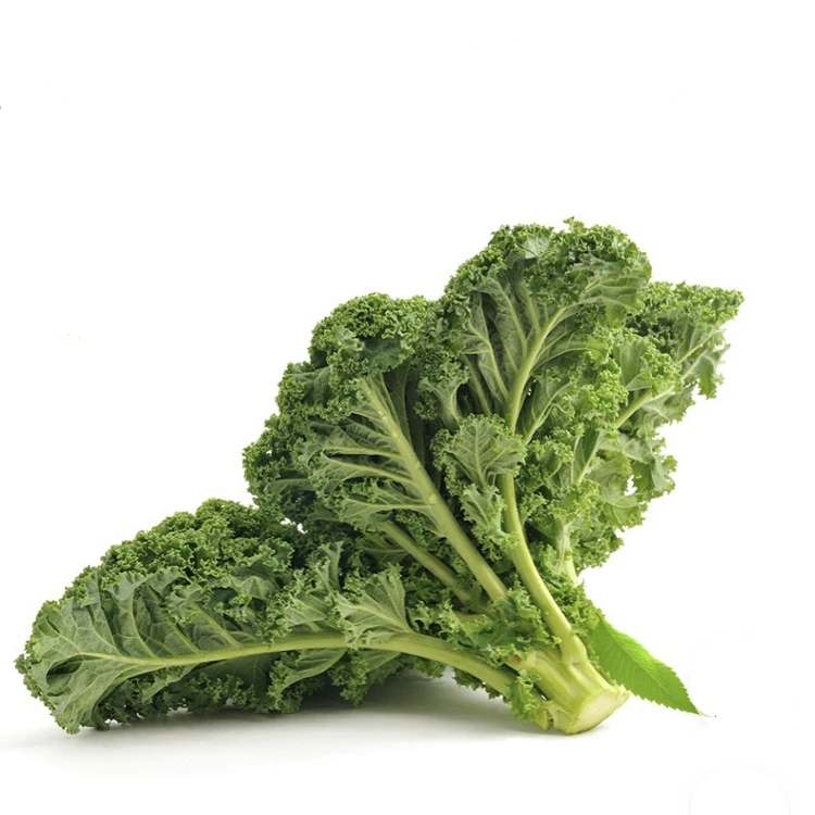 2020 High Germination Rate Chinese Vegetable Green Color Kale Seeds
