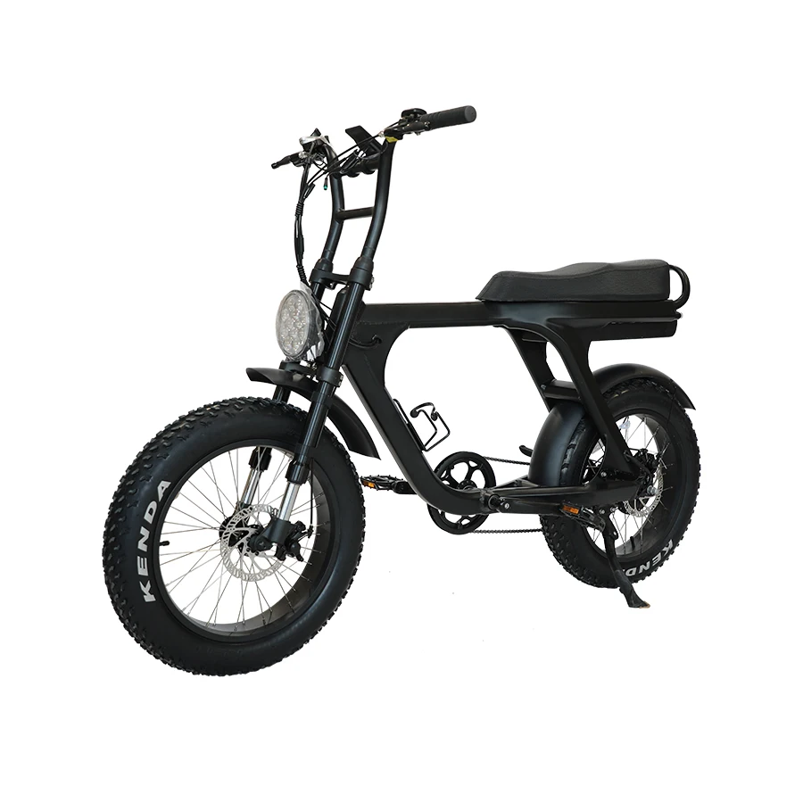 Factory direct 20 inch Large capacity dual battery all terrain vehicle  Electric Mountain Bicycle