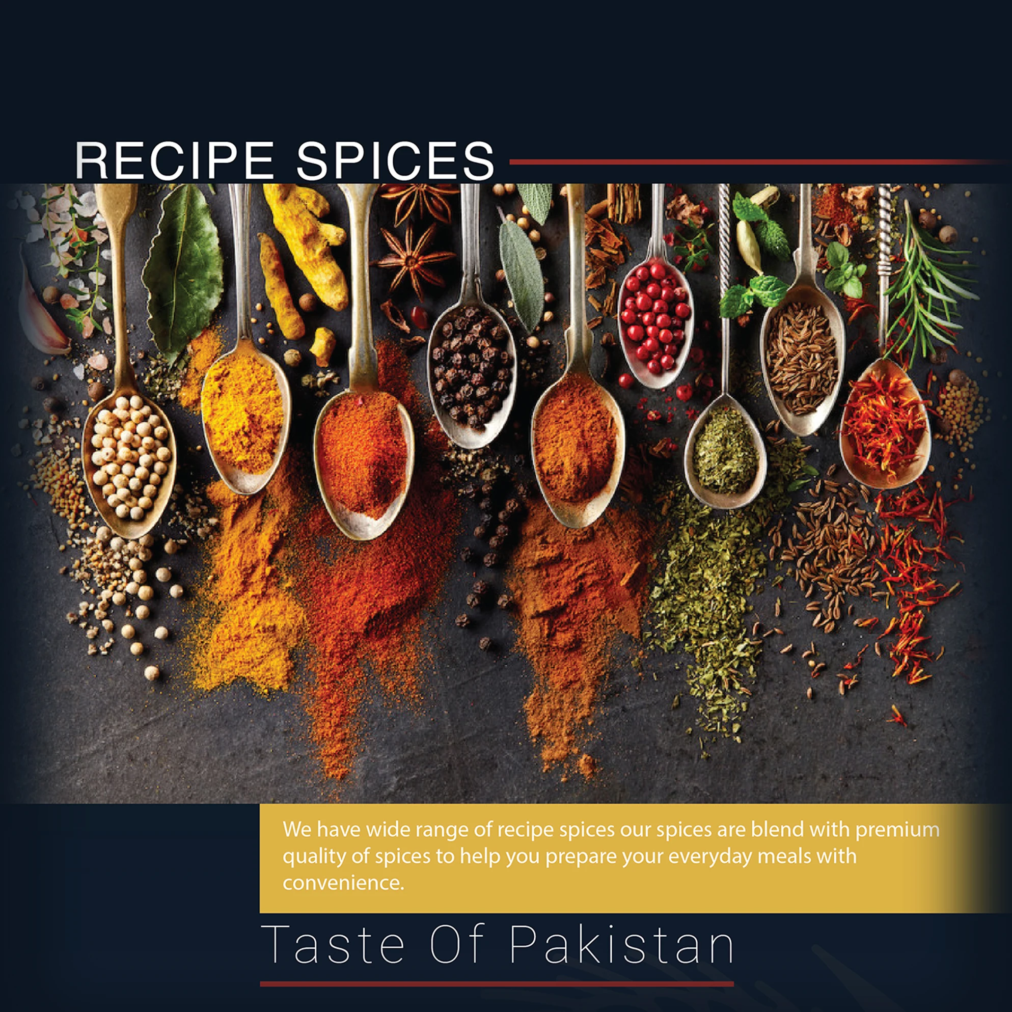 Chicken Tandoori Masala Top Quality Spices and Seasoning Food Maker From Pakistan Top Wholesale Halal Masala Power Spice