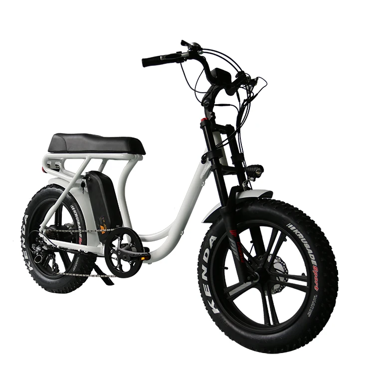 Long Seat 48V 13Ah eBike 2 seat electric bike 750W Brushless Motor Electric Bicycle With 7 speed gears and Disc Brake