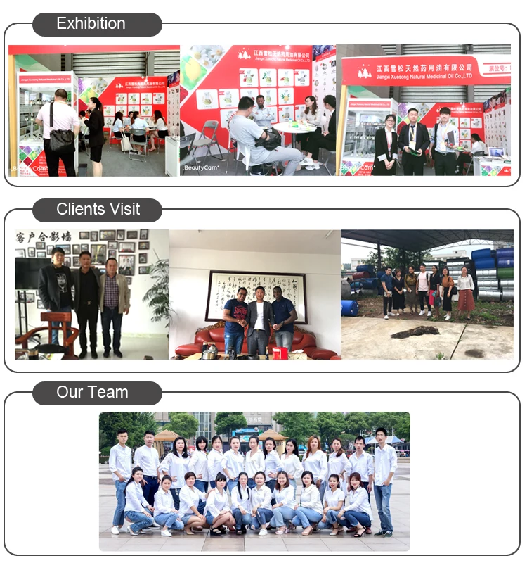 Factory Wholesale Bulk Free Sample Alpha-pinene Essential Oil 95% Concentration Best Price Manufacturer Herbal Extracts Essences