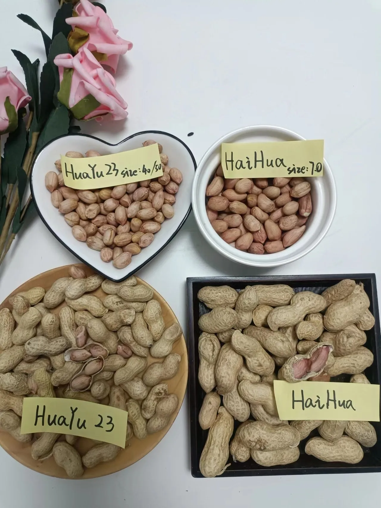 china peanut in shell kernels best quality no aflatoxin best sale