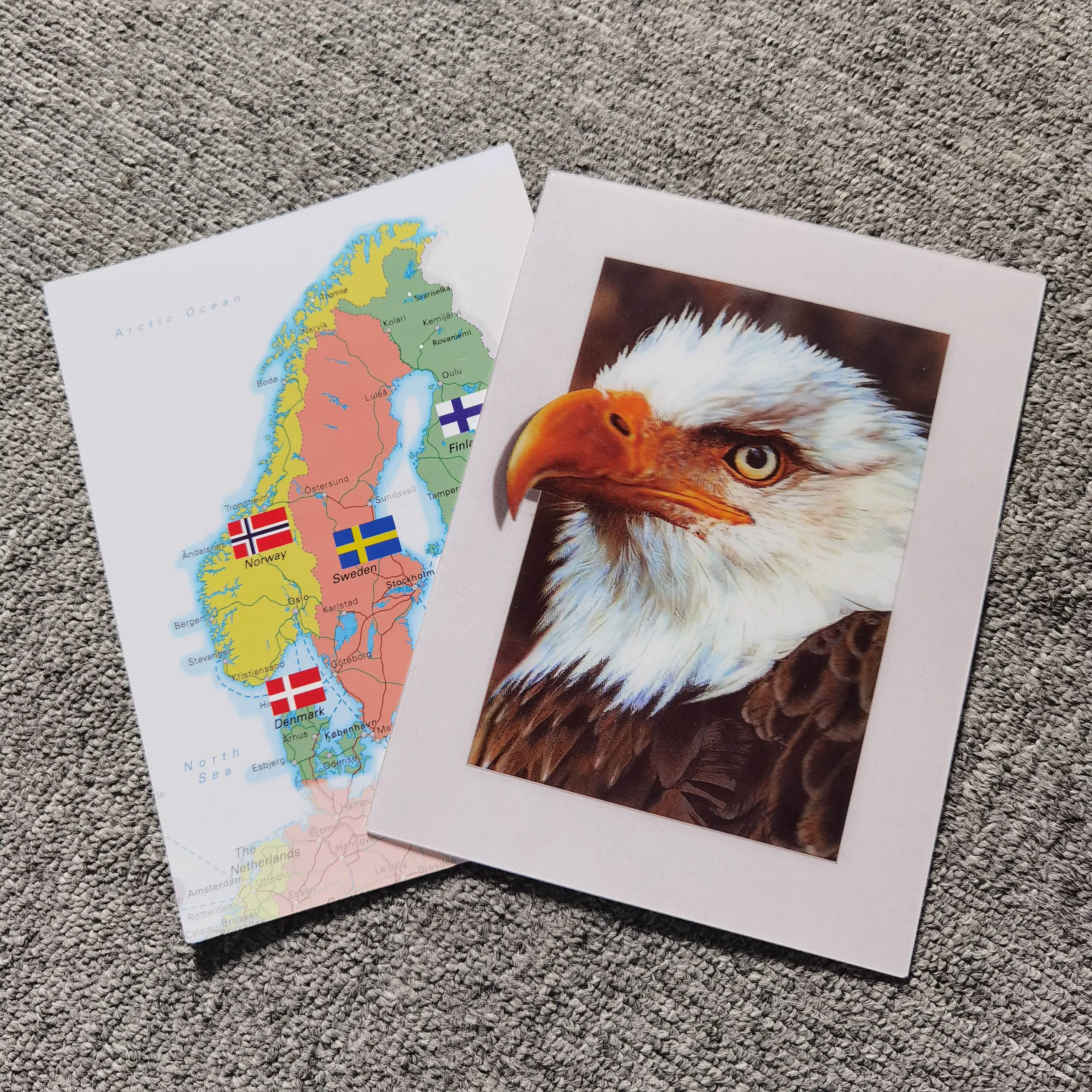 Cute animals 3D lenticular cards custom trading cards for giveaway