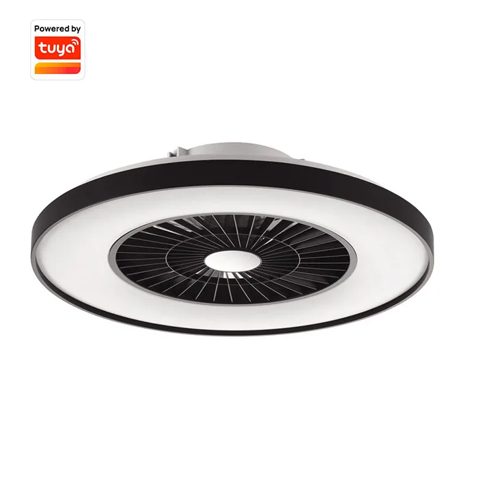 New Product High Quality Black Painting Led Residential TuYa Smart Control Ceiling Fan With Lights and Remote for home