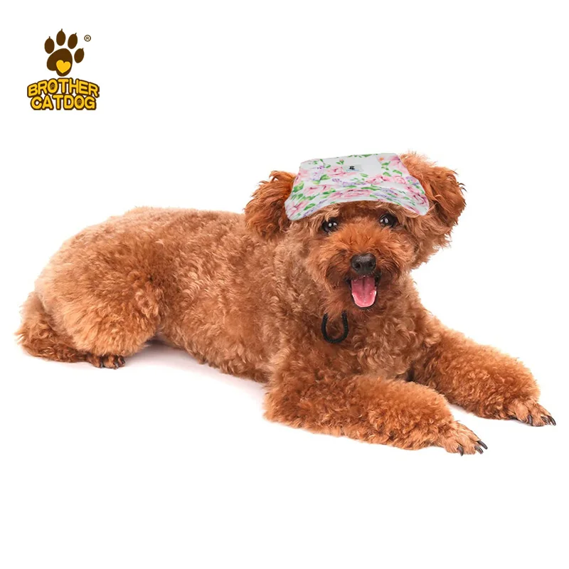 Factory Wholesale Stock Dog Hat Dog Summer Canvas Outdoor Baseball Pet Cat Sun Visor Hat Trusted and Professional Original XL