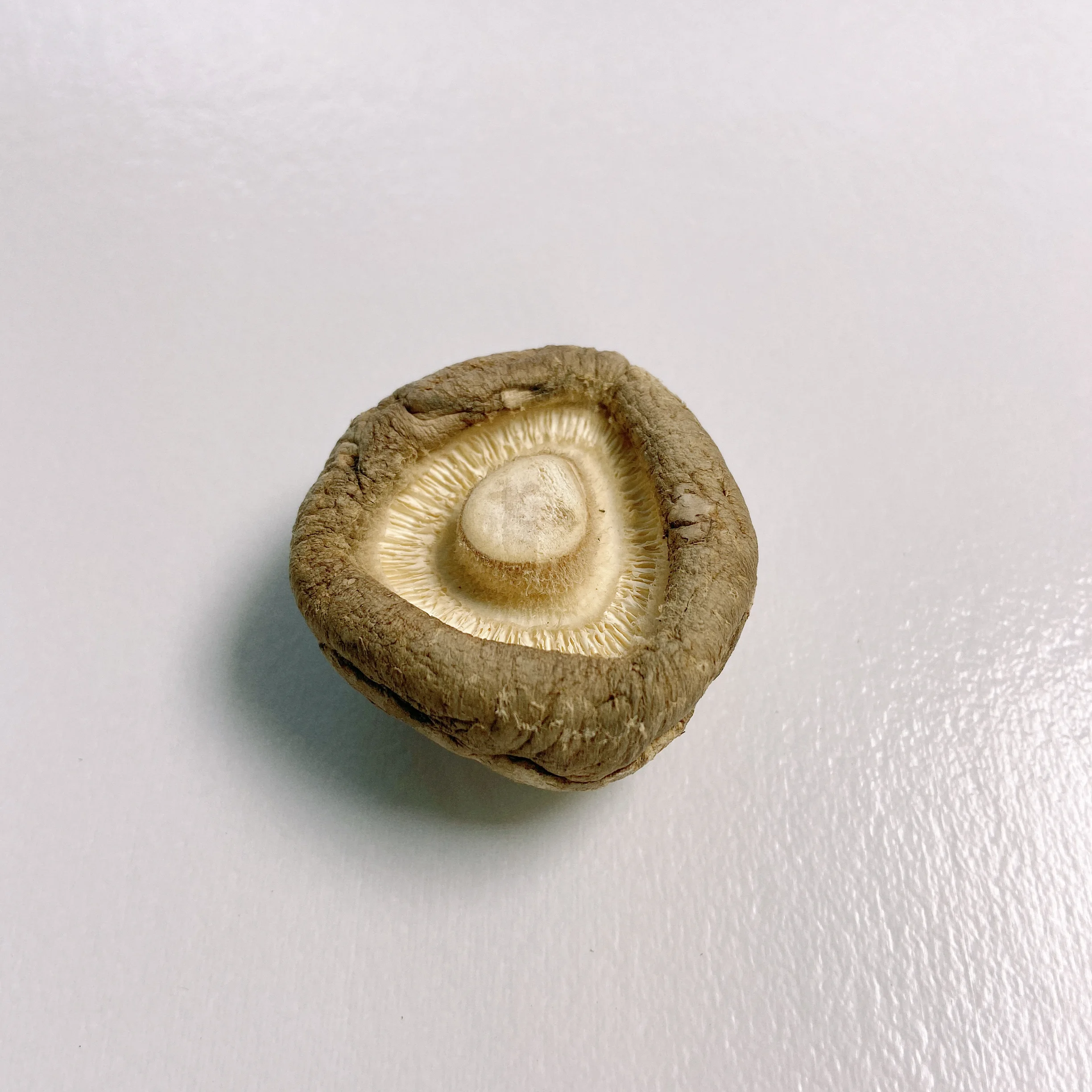 Safe Production Wholesale Dried Organic Shiitake Mushroom