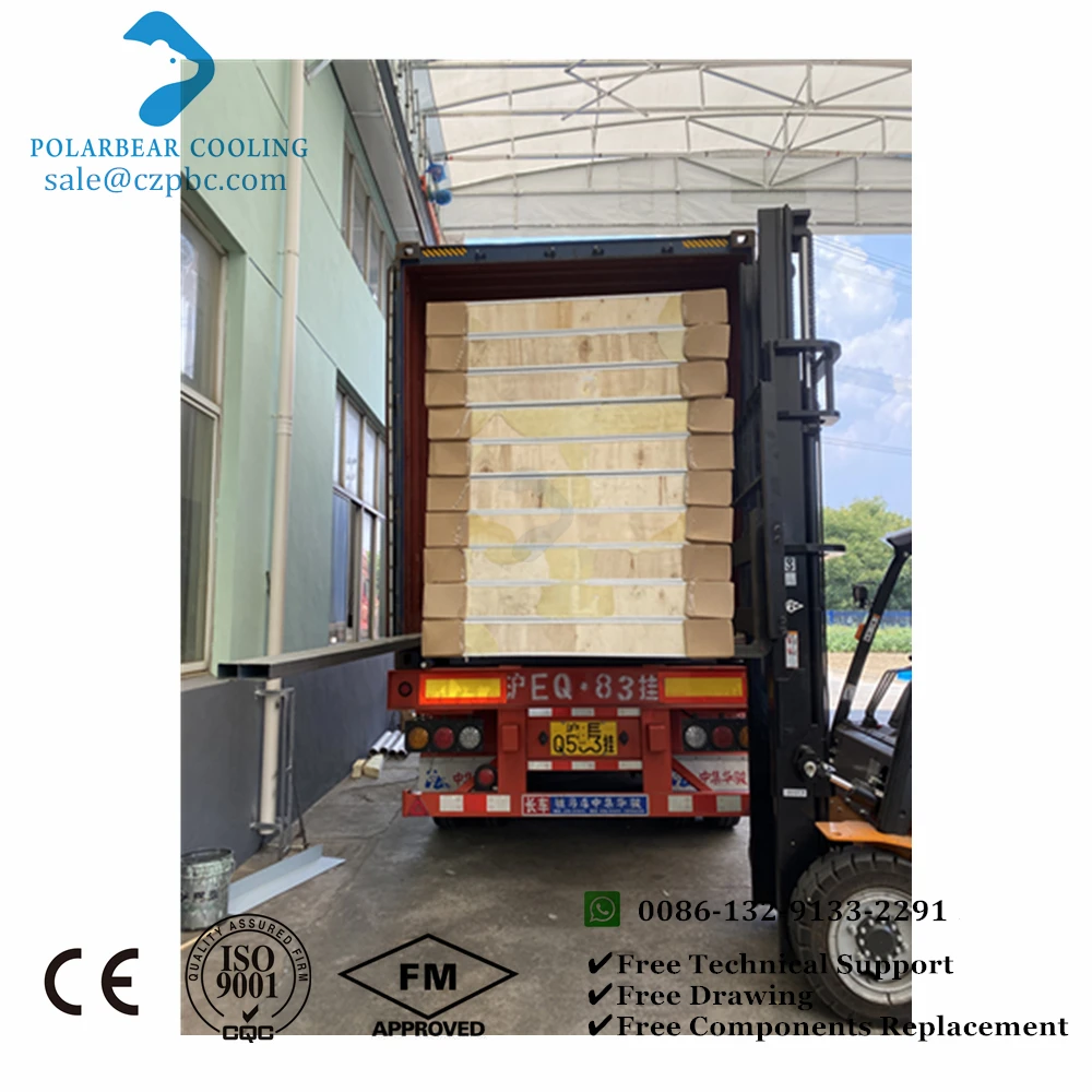 Fire Insulation Polyurethane Panels for Cold Room PU Sandwich Panel Camlock Board