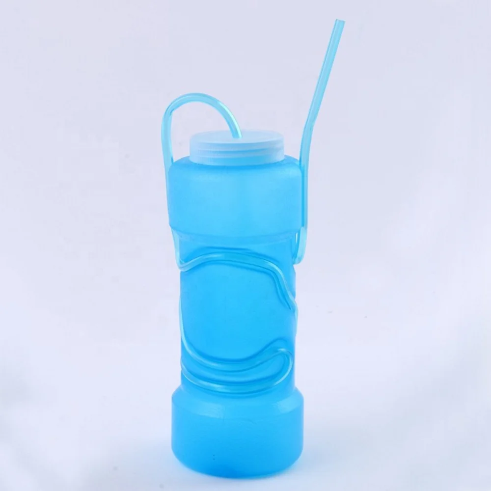 Novelty Plastic Water Bottle with Crazy Straw with Lid 201002