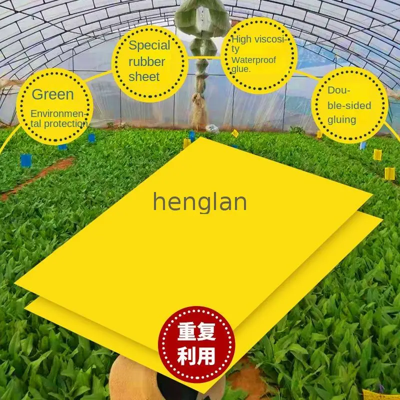 LL26 Non toxic plastic yellow sticky traps for insects pest control in agriculture