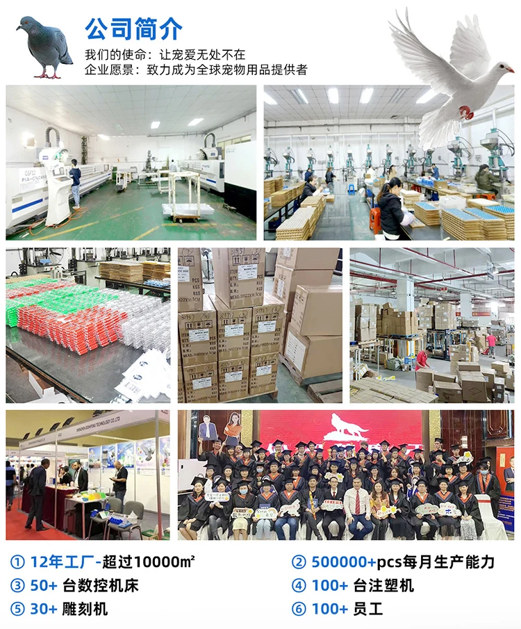 Wholesale Price 2020 Pigeon Supplies Pigions Customize Ring