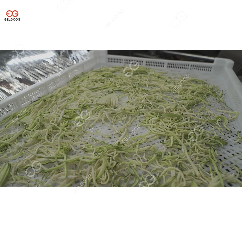 Gelgoog Industrial Drying Fruit Passion Fruit Machine Equipment For Dry Fruits Manufacturer