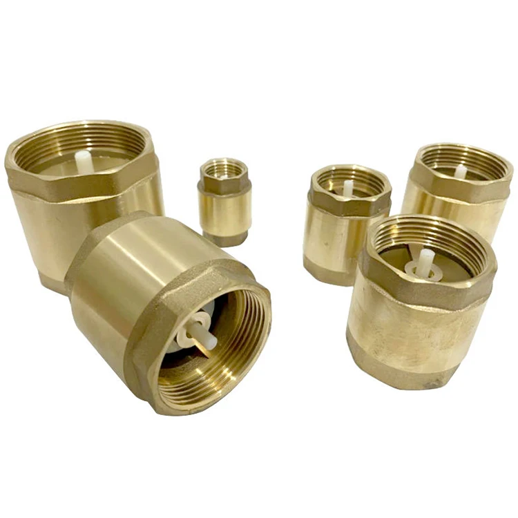 Support samples Thread Brass Water Vertical Spring Stainless Non Return Valve
