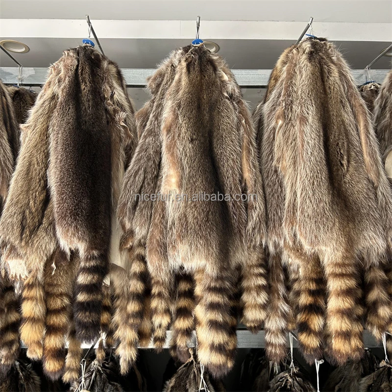 Оптовая продажа натуральных американских енотовидных собак мех кожи