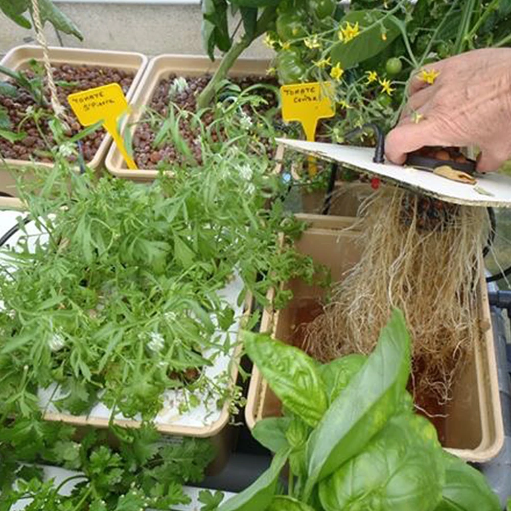 China Aeroponics System Potato Aeroponic Dutch Bucket