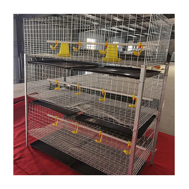 H type 3 tires Animal cages Broiler chicken cage Chicken farming