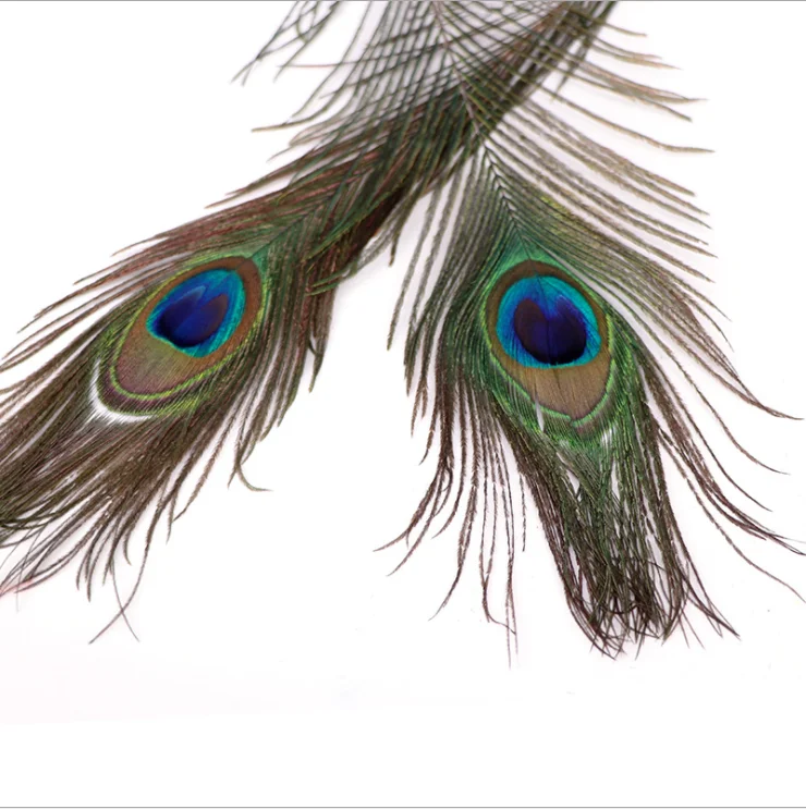 High Quality Wholesale Feather Crafts Supplier Nature Dyed Peacock Feather