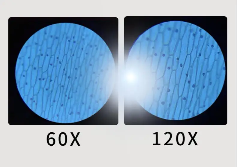 Mini Pocket microscope Kit 60-120x Lab Handheld microscope Battery Powered microscopes With LED Light Kids Science tool