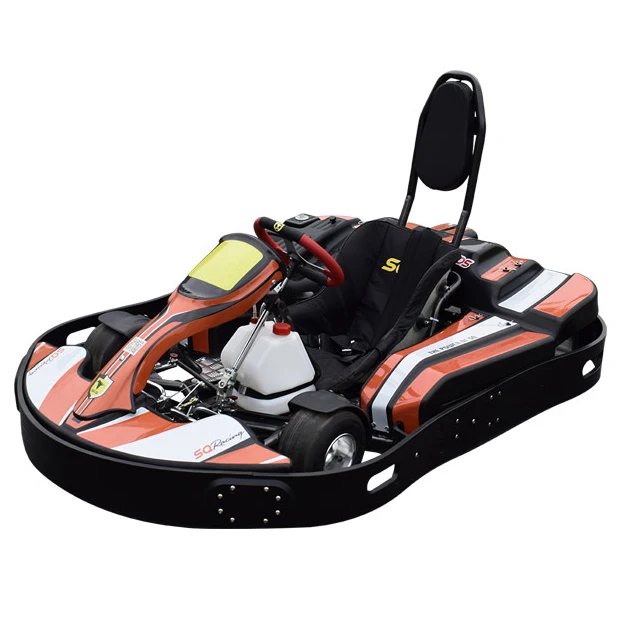 Adult Electric Go Kart Blue Red Hover Board Go Kart 500 cc 900W Go Kart Commercial