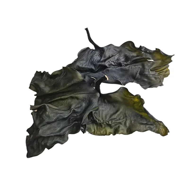 Natural dried seaweed dried seaweed wholesale seaweed supplier laminaria