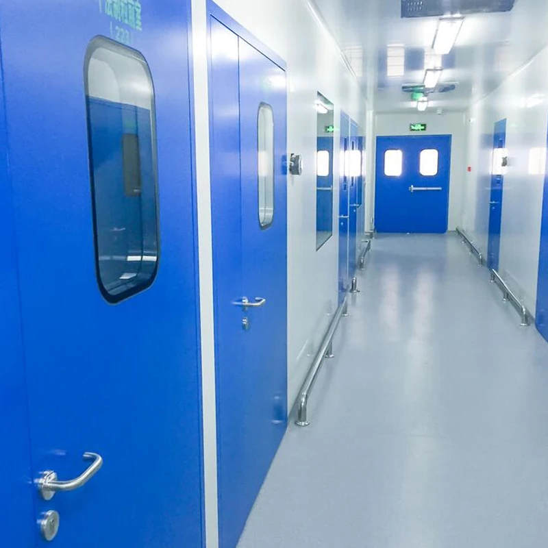 Clean Room Door Metal Steel Manual Stainless Steel Handle Fingerprint Smart Steel Locks GMP Door