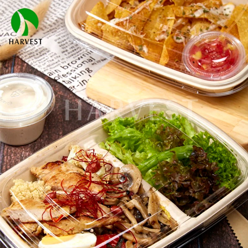 One time use 2 compartment paper microwave bento lunch box food container