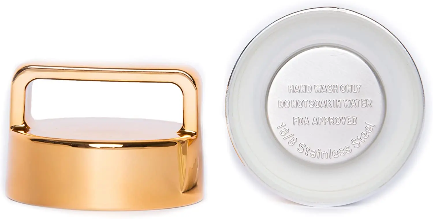 2020 Hot Sale Double Wall Premium Quality Glass Water Bottle Tumbler with Tea Infuser Mugs with Handle for Loose Leaf Tea Fruit