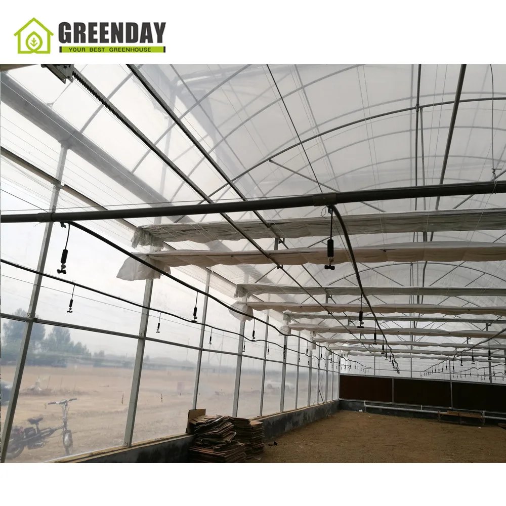 
GREENDAY Low cost galvanized steel pipe used greenhouse polytunnel greenhouse for plant growth 