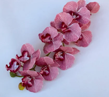 15 Head Long Stem Artificia Phalaenopsis Real Touch Orchid Flowers Branches