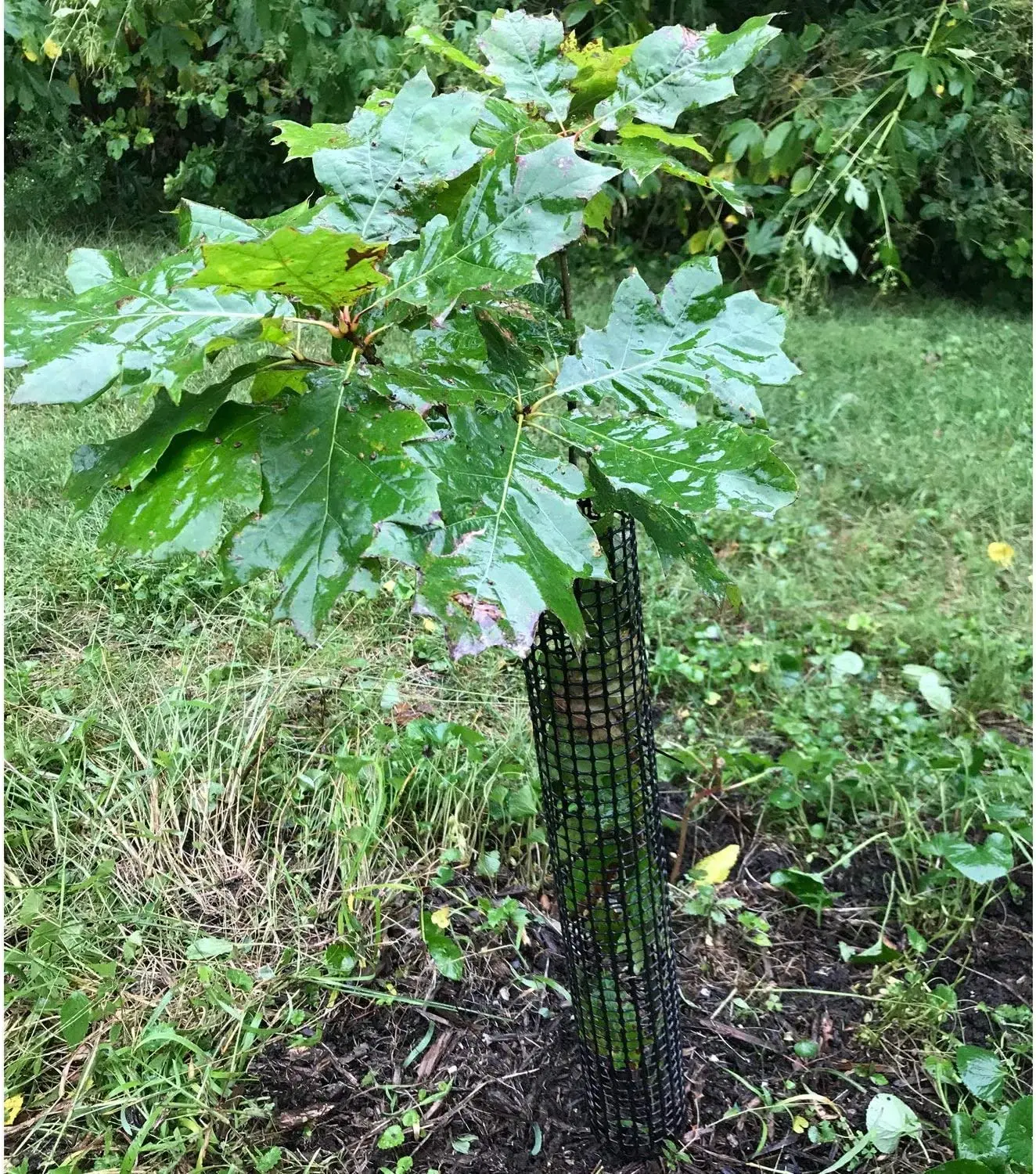 5 Pack 36 Inches Tall Tree Bark Protector Guard, Tree Nursery Protecting Mesh, Tree Trunk Protector