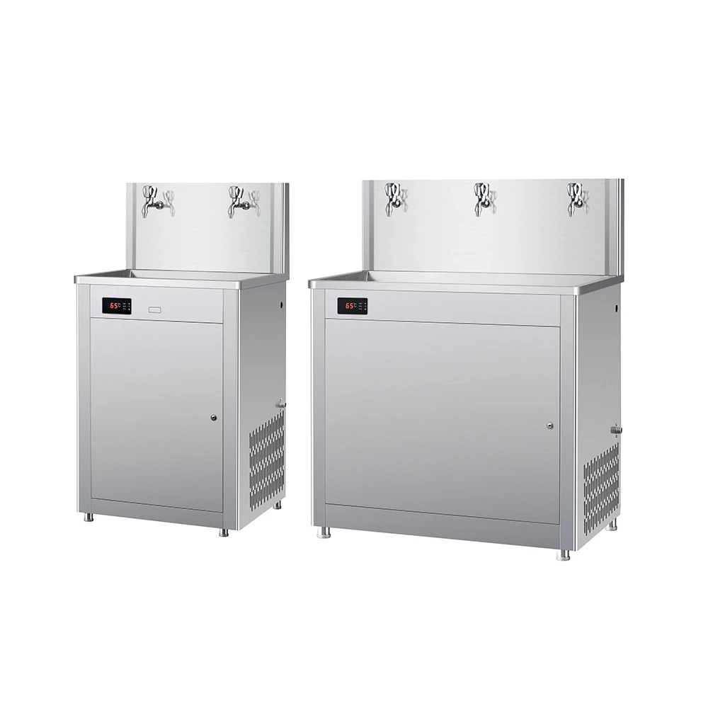 OEM Price Stainless Steel Water Hot Cold water purifier Cold Water Dispenser For Campus