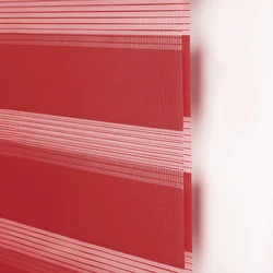 Cored Day and Night Zebra Roller Blind Double Fabric Translucent or Blackout Vision Curtains for Window  with Aluminium Cassette