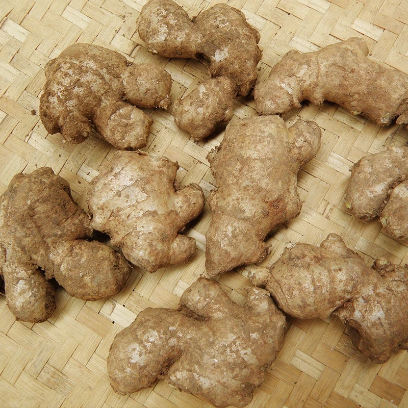 Premium Fresh Lowest Price Fresh Chinese Old Black Ginger Fresh