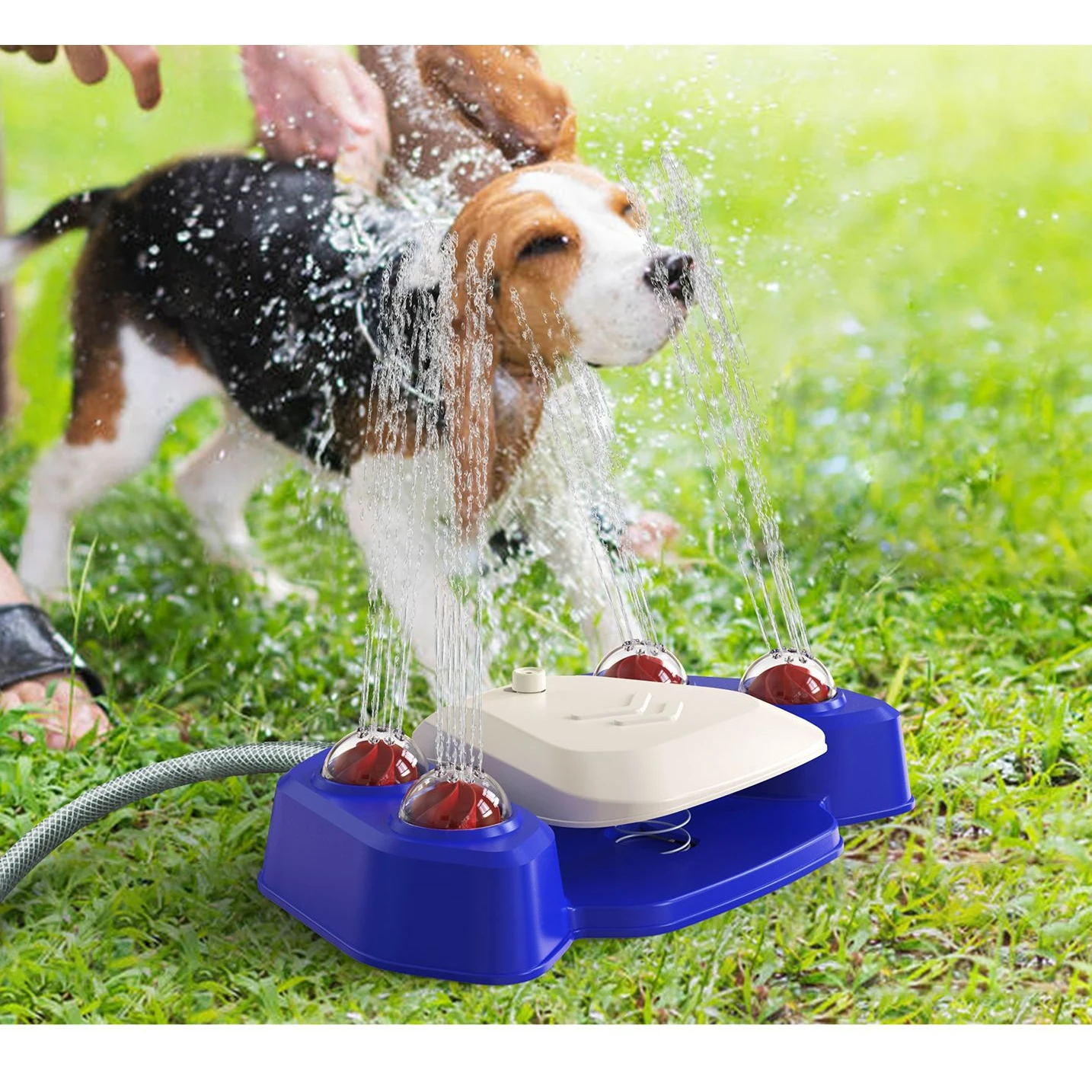 outdoor garden dog water fountain step on dog sprinkler automatic summer bathing dispenser