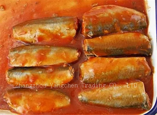 canned mackerel fish recipes in tomato sacue