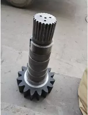 Speed reducer input and output shaft