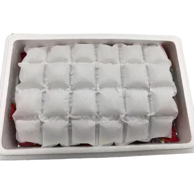 Customization  Techni Cooler Ice Sheet Reusable seafood Dry Ice Packs