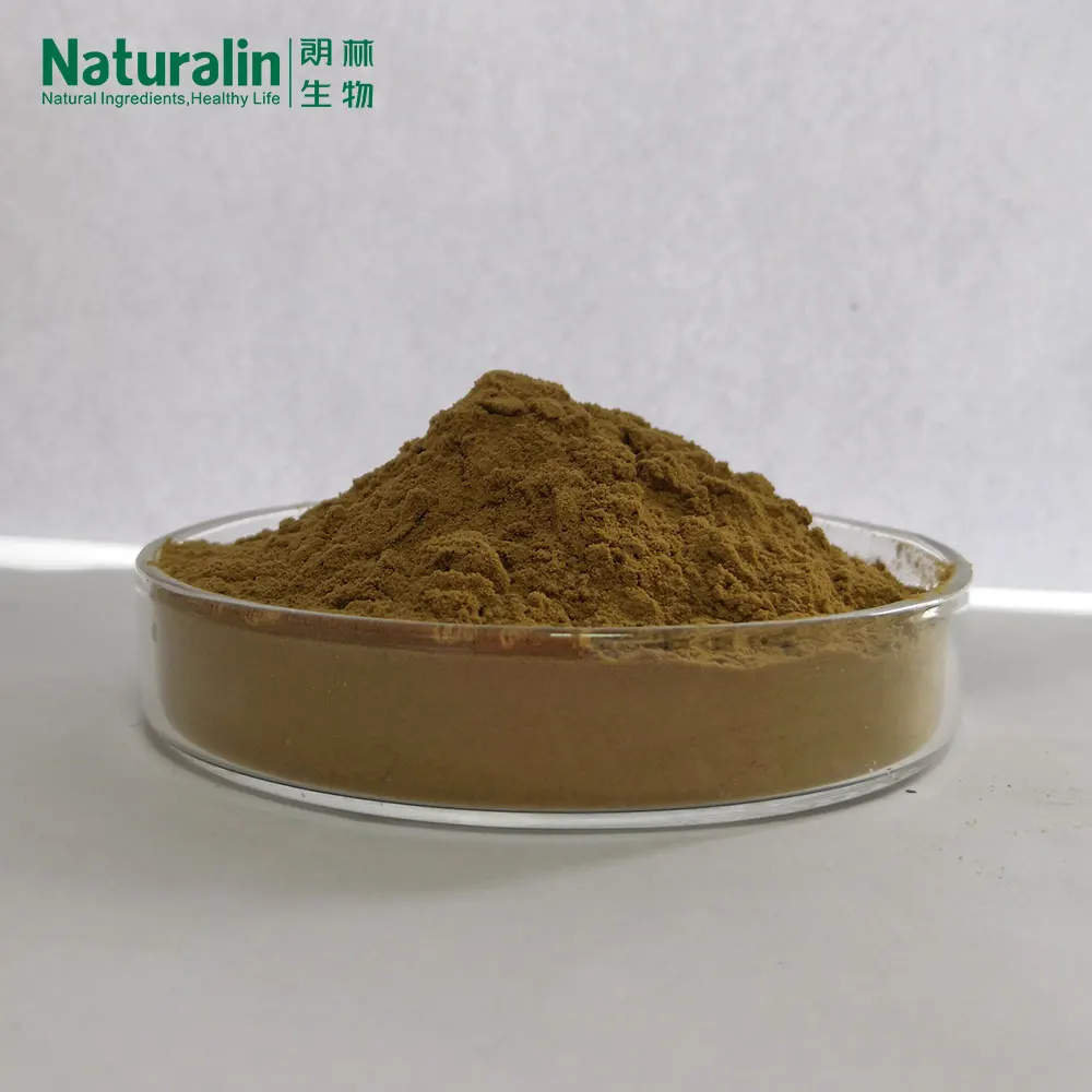 Hot Herbal Extract Naturalin Ganoderma Lucidum (Leyss ex Fr.) Karst 20% beta glucan kit K-YBGL Ganoderma Lucidum Extract