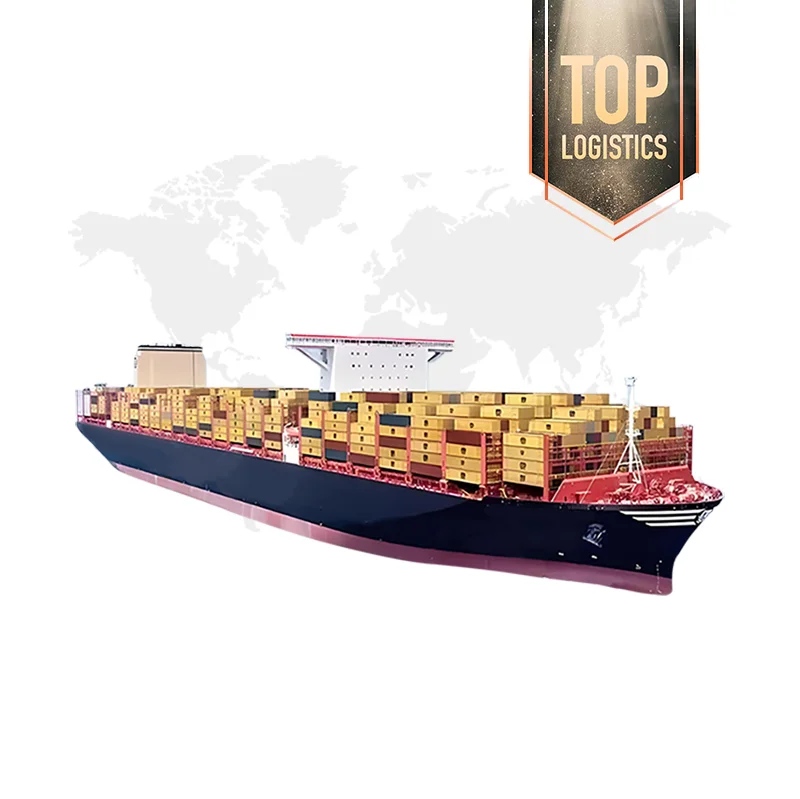 Fast Logistic Service Freight Forwarder Sea Shipping Agent From China To USA Canada Australia LCL Express DDU DDP service