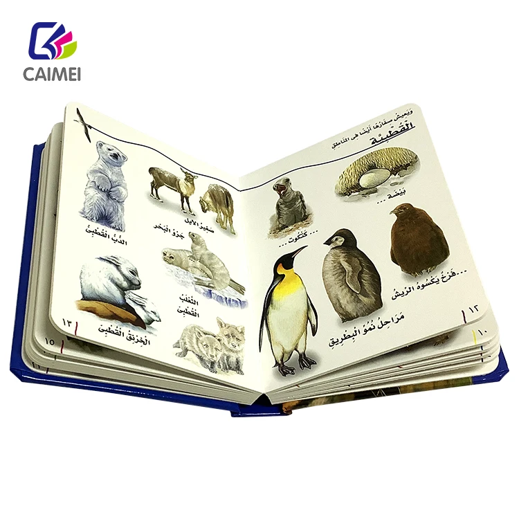 Manufacturer Customized High Quality Children Board Book Printing