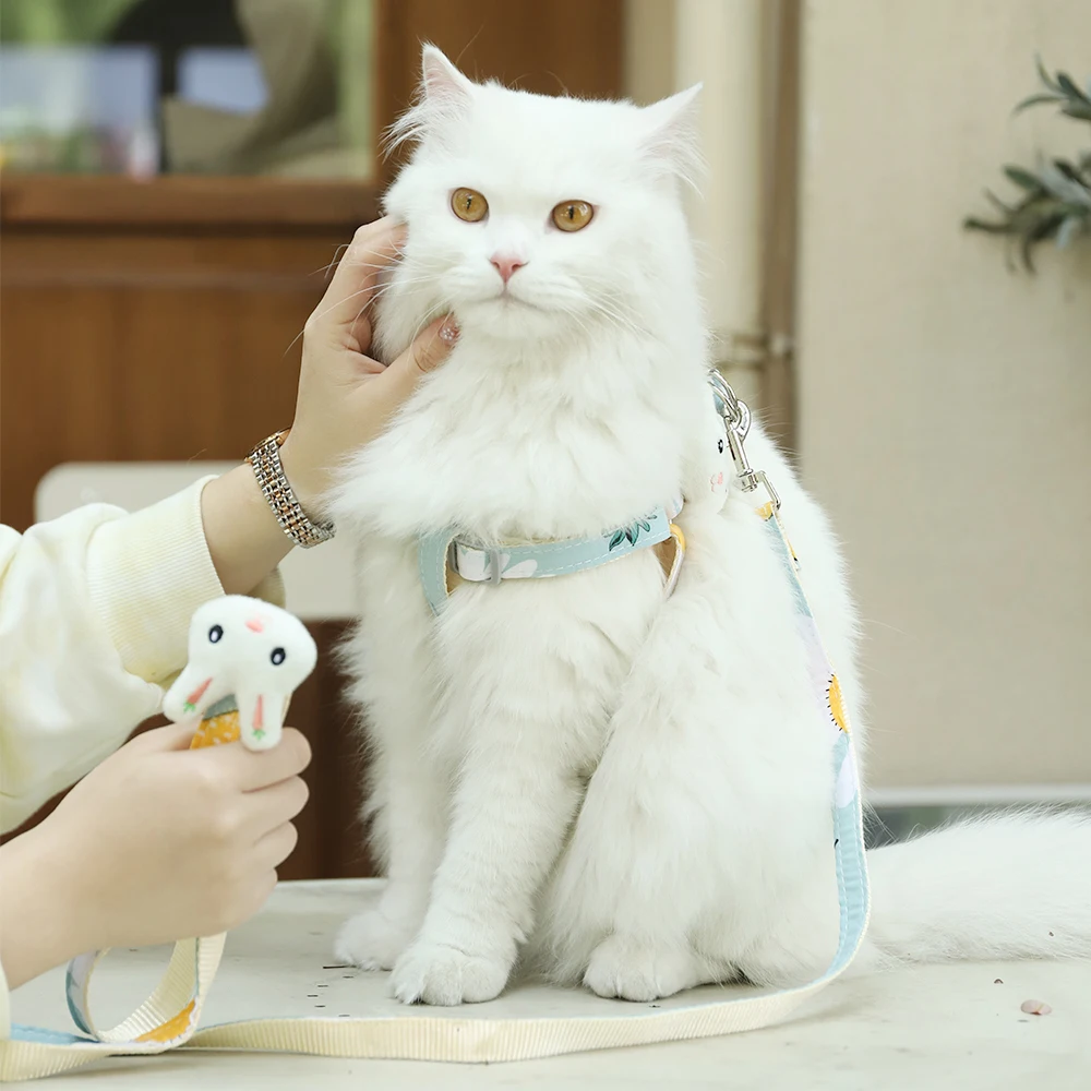 Factory Best Price Hoopet Comfortable Fit Escape-proof Small Dog Cat Chest Strap Harness And Leash Set