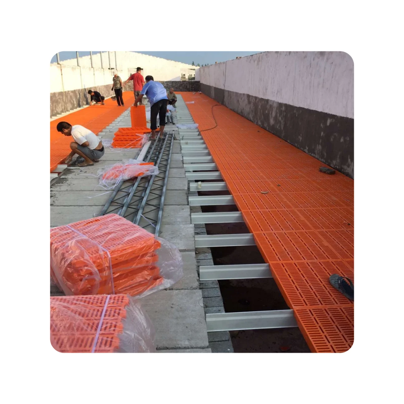 Chicken Farming Plastic Slat Floor Poulry Floor New Type Chicken Slat poultry farm plastic slat floor for chicken