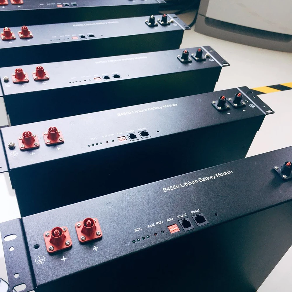 The top quality 12v 24v 48ah 50ah lithium battery for ebike