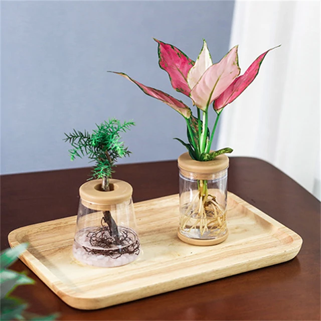 J823 Home Office Automatic Water Absorption Transparent Green Plant Flowerpots Plastic Visible Hydroponic Flower Pot