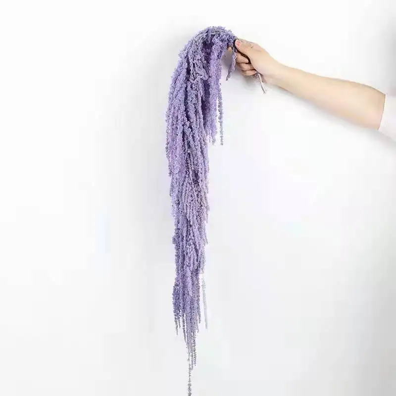 Party Home Garden Decor Indoor Flower Arrangement Eternal Flowers Amaranthus Dried Flowers