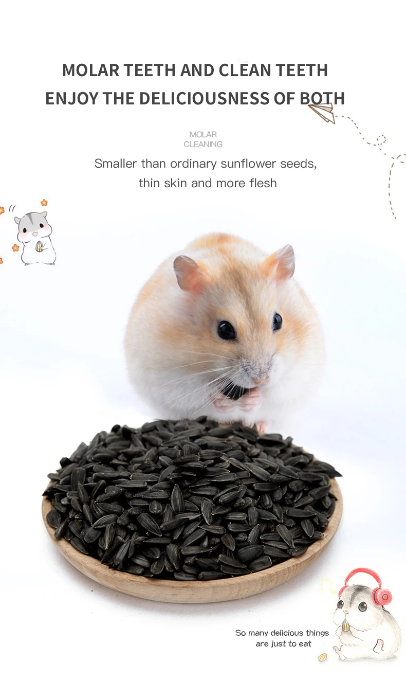 Top Selling Canned Pet Food Pet Supplies Russia Transparent America Bag Australia for hamster food supplies